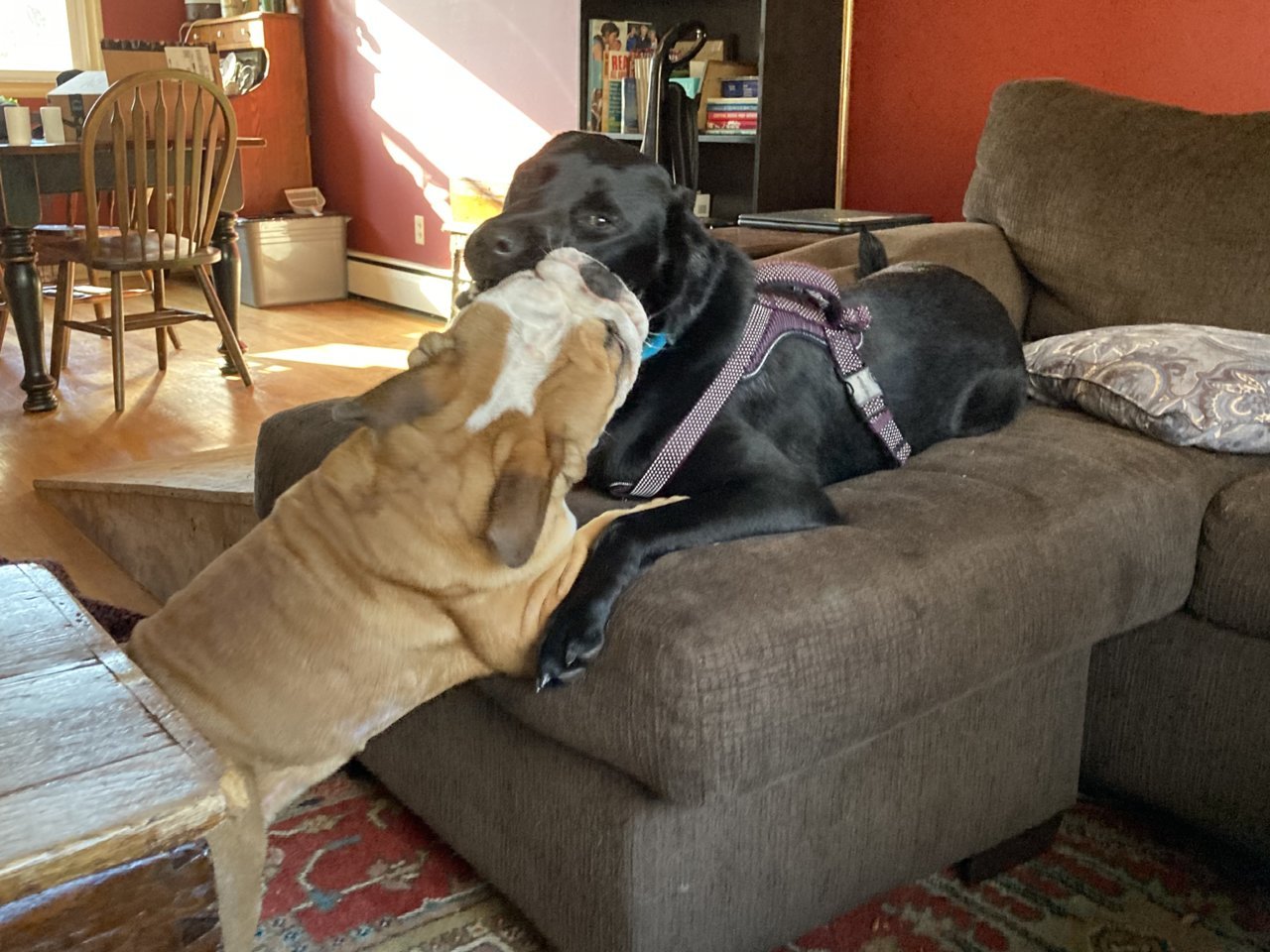 6A26C290-02BA-4A6D-9646-7F6F47637F4A.jpg