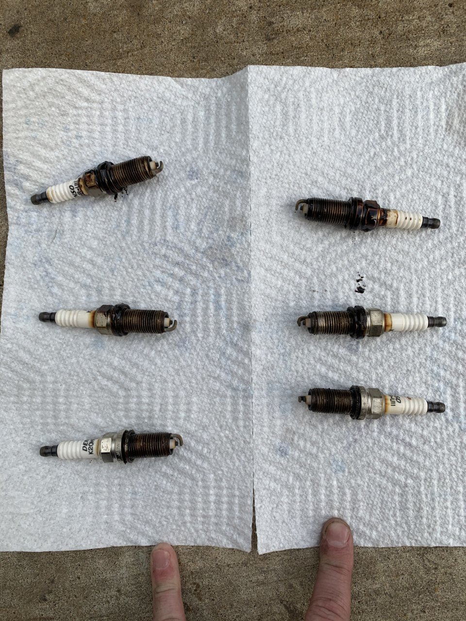 6A4AC56F-81E3-4AB9-AFE7-19620FD11E99.jpg