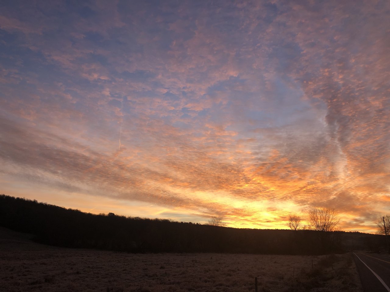 6A85C5C9-A76E-463C-9C73-762C3BF89FE0.jpg