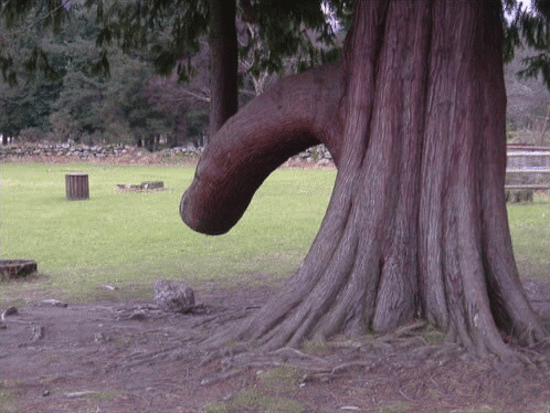 6A8E15EC-8E12-497B-B851-D474637FBD54.gif