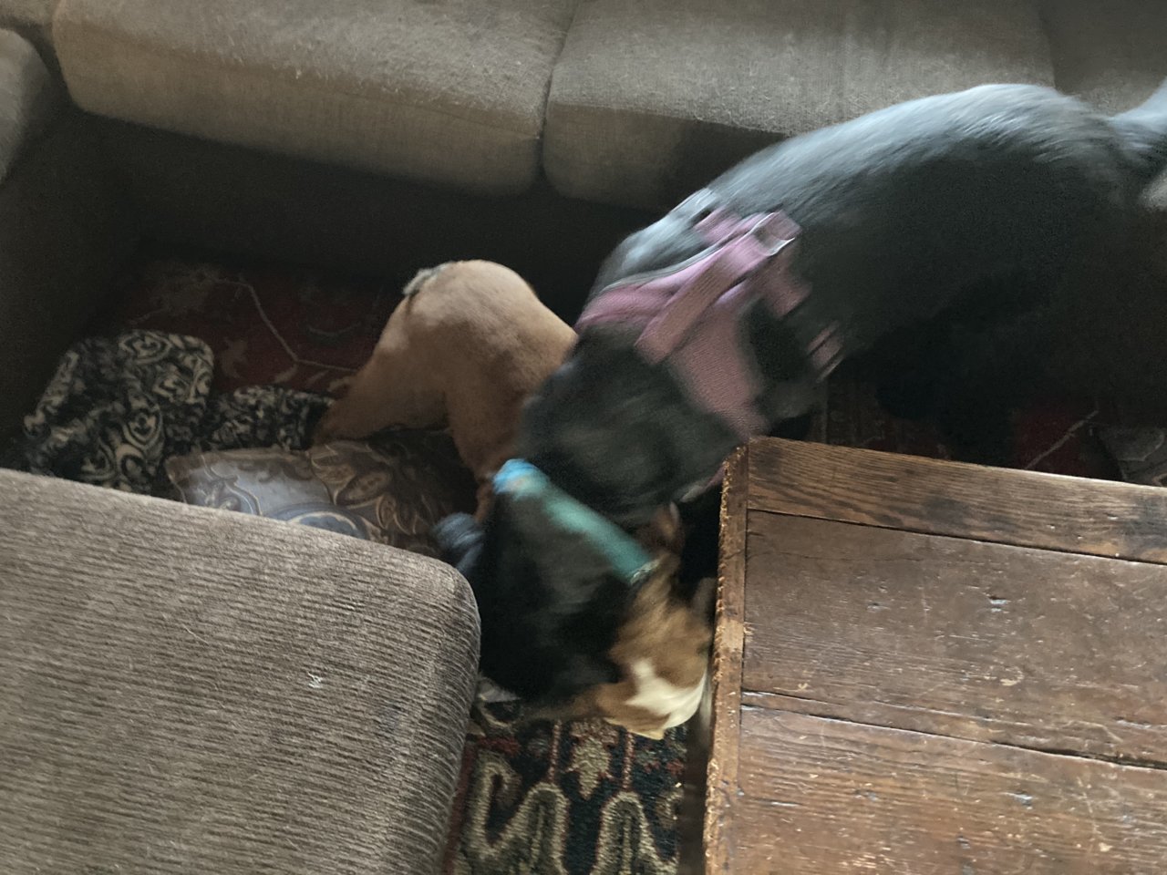 6AE0F968-1F07-48CF-A775-969245AC9E4A.jpg