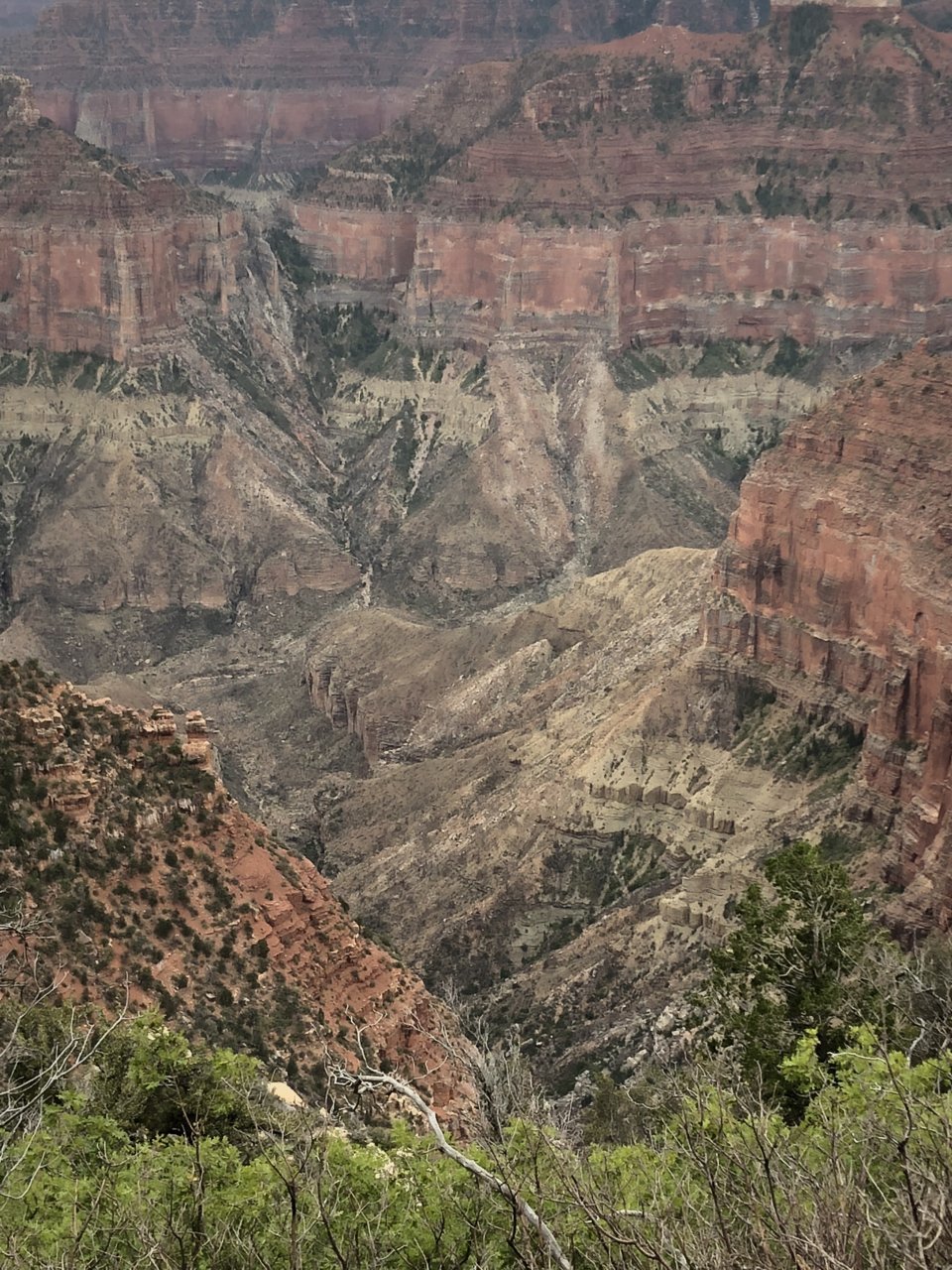 6AF2915D-2F1E-40C7-9E55-64D22E31E861.jpg