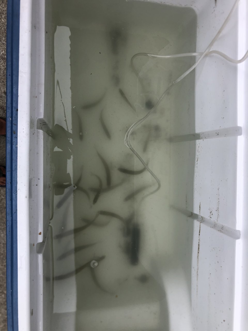 6B03C0A5-C032-47EC-BC38-7AF22B20ADE4.jpg