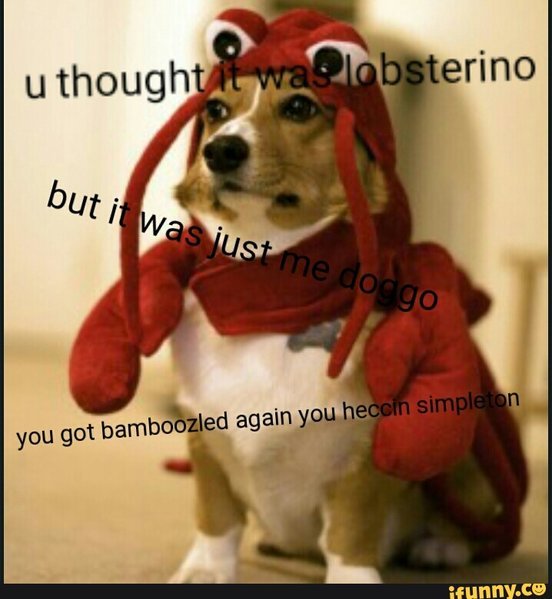6b2cdcd715cd4b1164526f366751ac8ef0355a8cabee0f2b001dca8170eb1f77_1.jpg