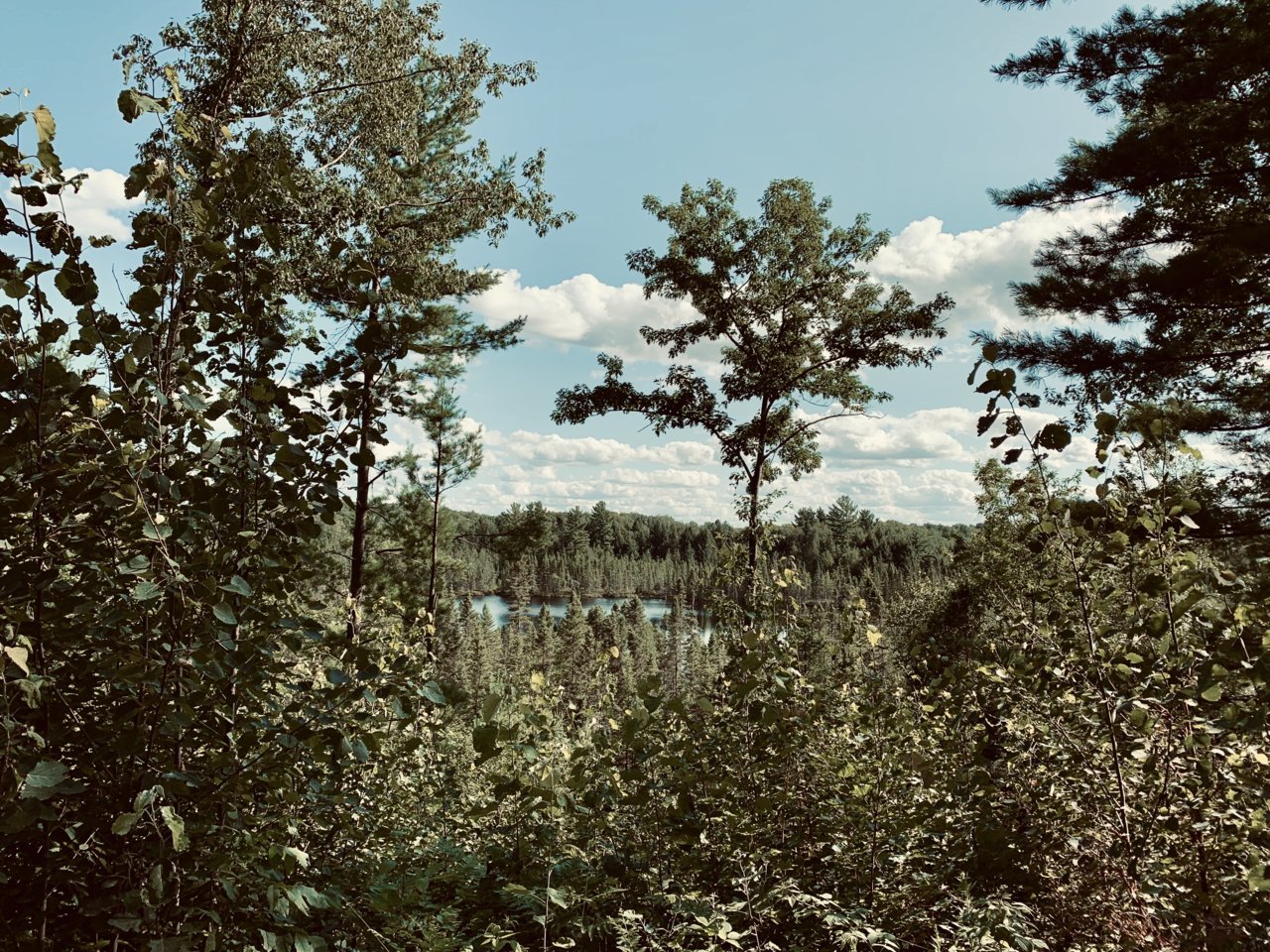 6BF52F57-E6A6-4507-964A-2A22A618AE3A.jpg
