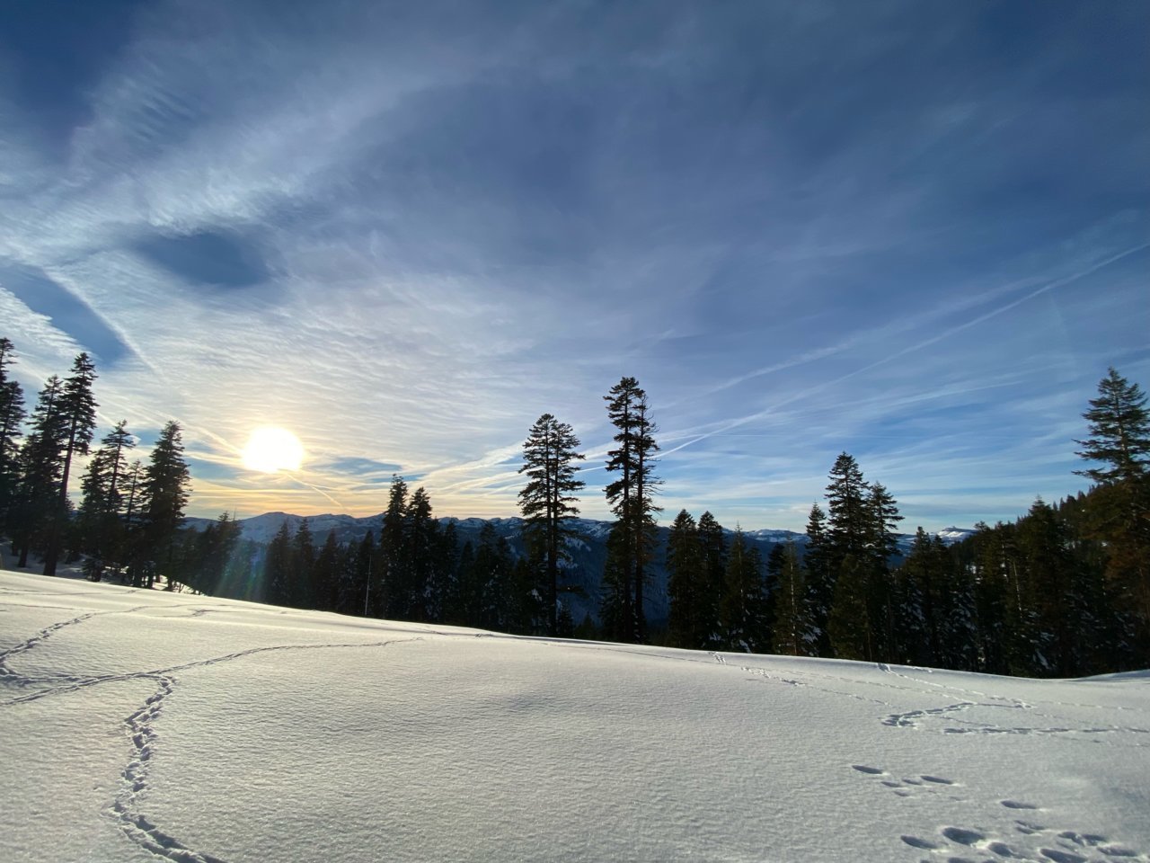 6C7CC1D2-0DEC-4811-9BA2-40A5D4BEBF91.jpg