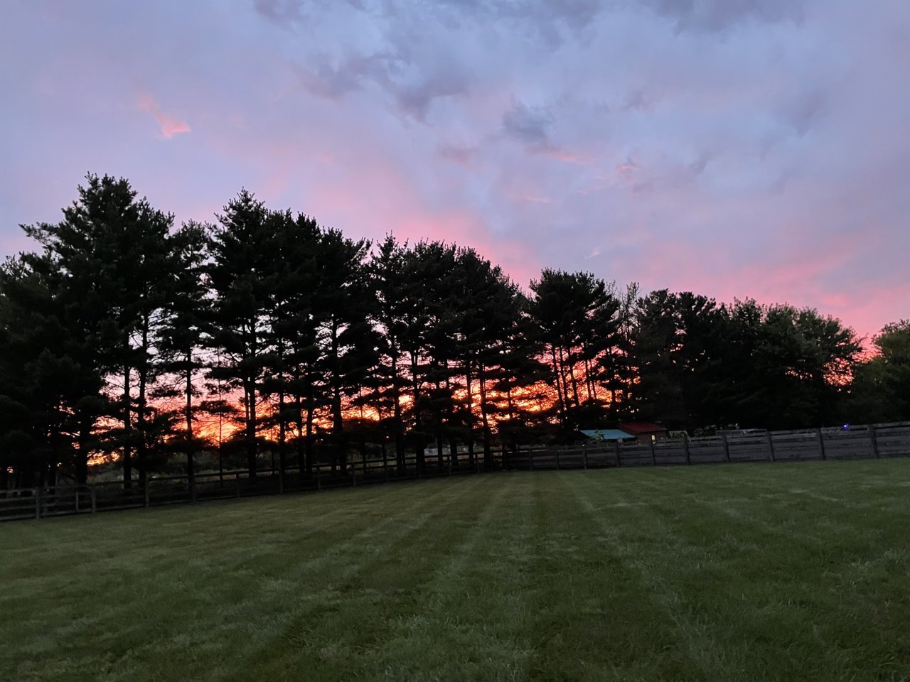 6C9606C4-4860-47D2-96B2-CF0F9C820219.jpg