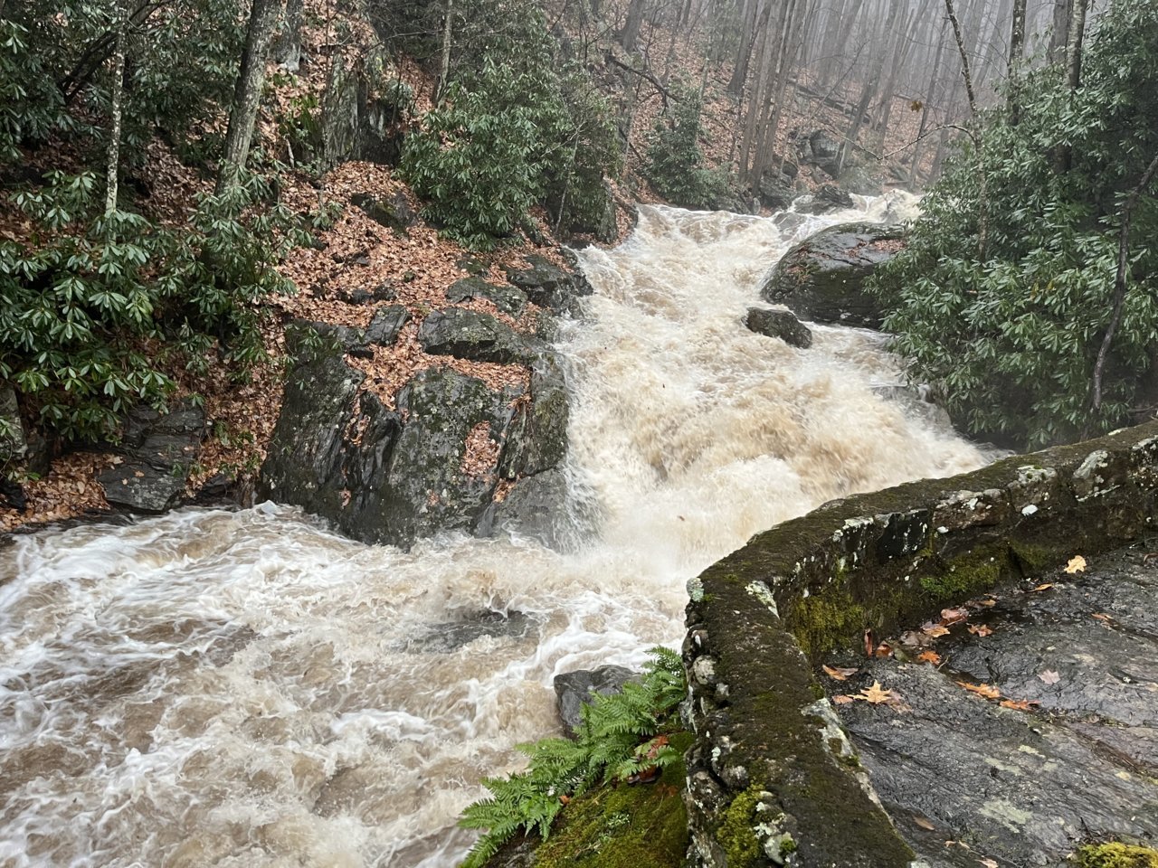 6D0D6B30-1881-40ED-A041-FE04191B91AC.jpg
