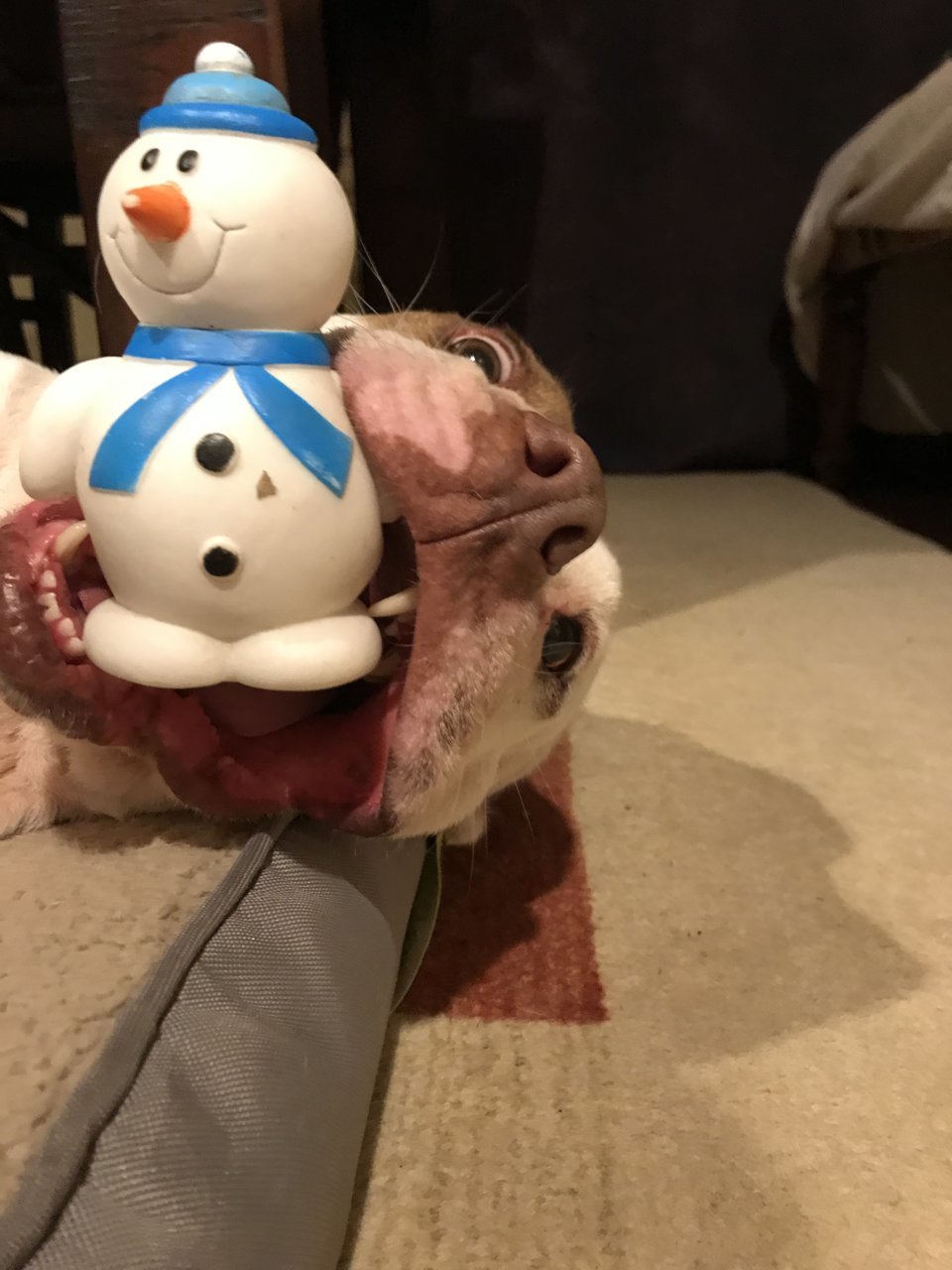 6D74F14F-BA56-4C0C-B7D7-4A3A4417B57A.jpg
