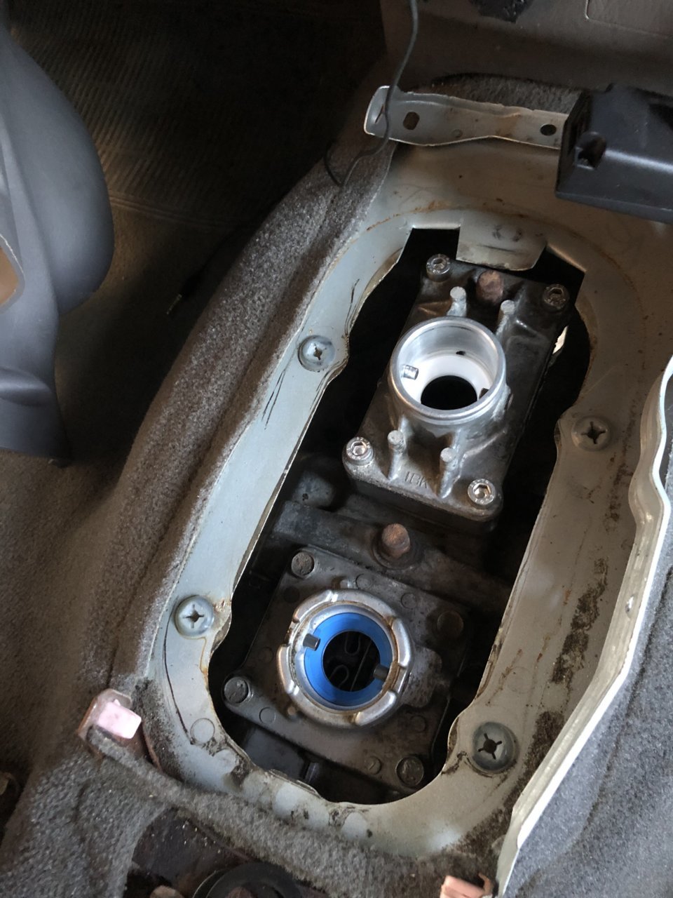 6DAF6B23-710D-4925-9749-727517914E36.jpg
