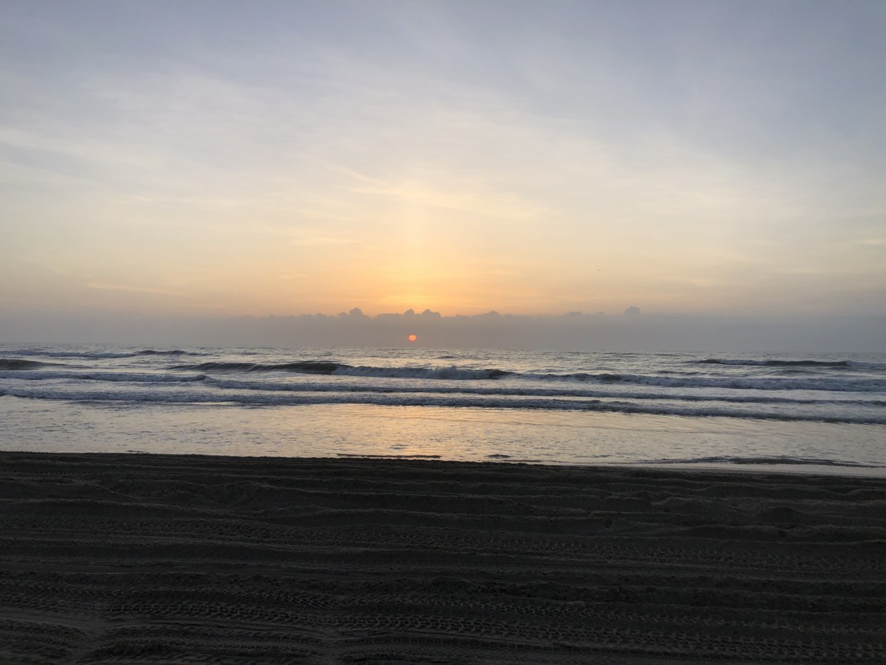 6DBD77E9-AB09-4806-A140-99EEC887F3F0.jpg
