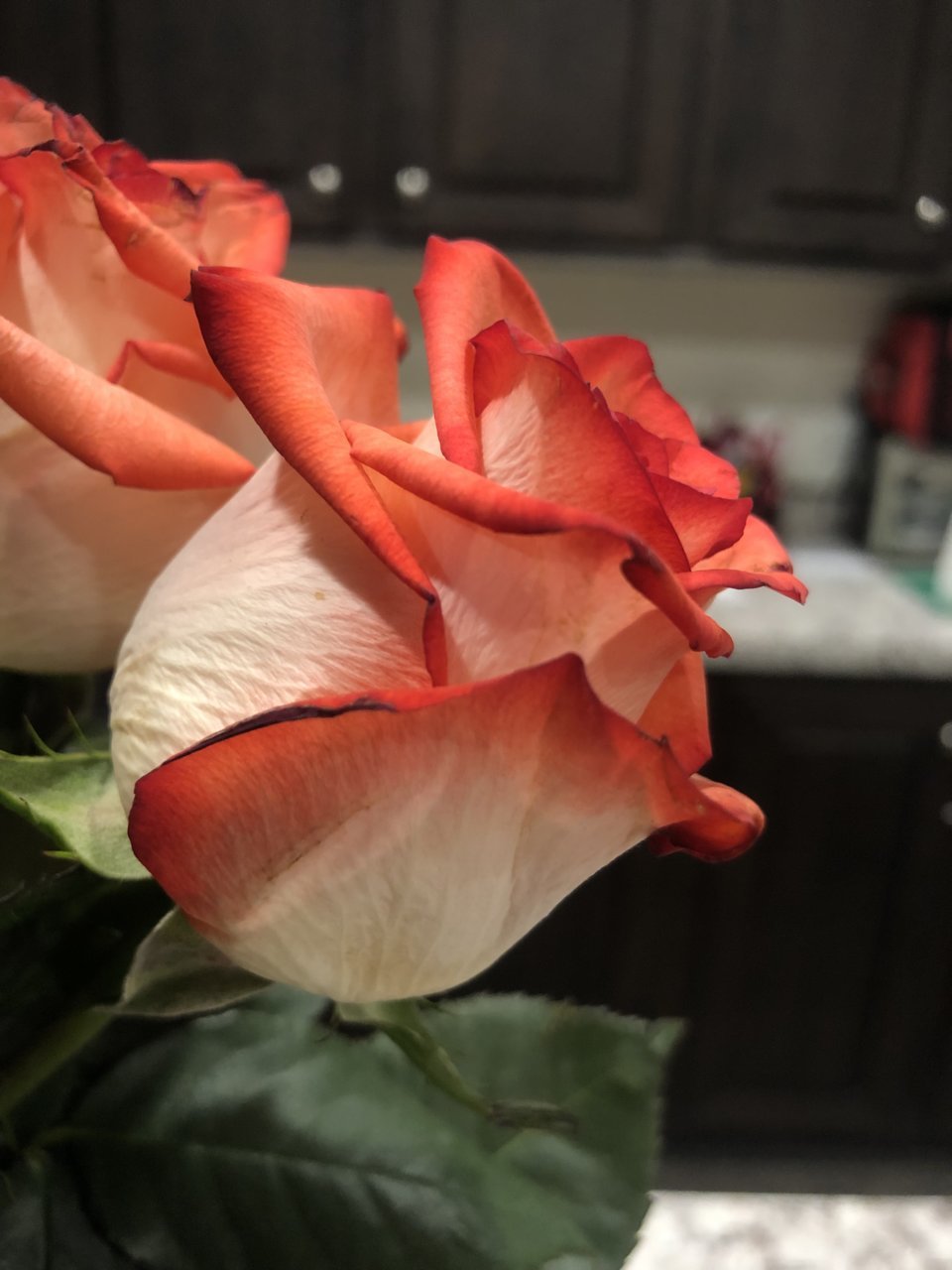 6DF0A7F4-DDDF-4CDB-8E39-A61CF43A1CE7.jpg