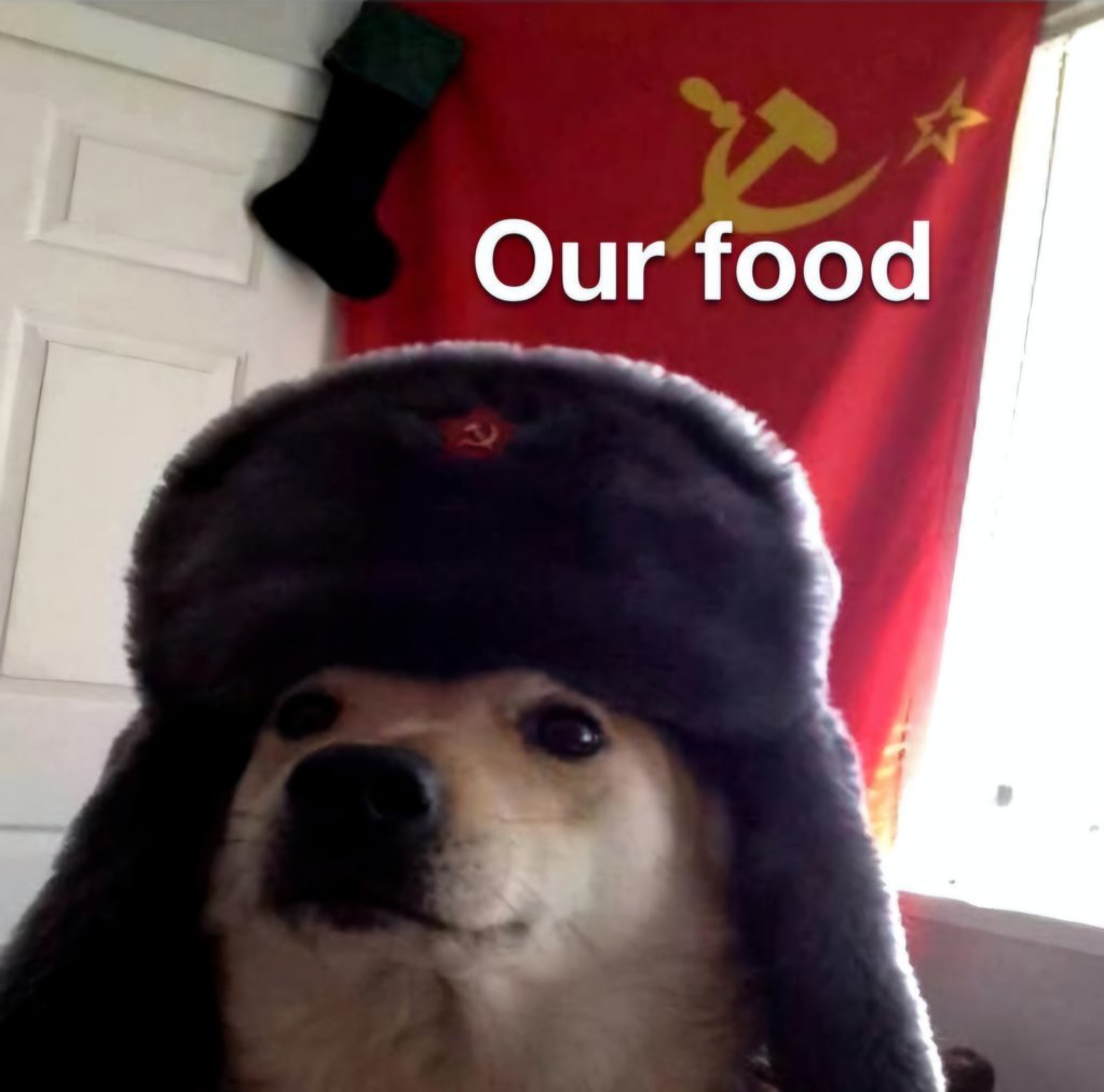 6dkedoqrjf851.jpg