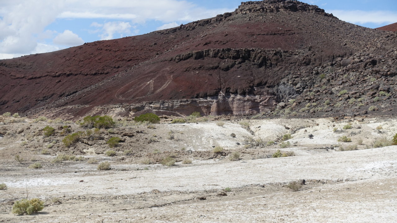6E170099-4641-40FD-B351-ADA8400E60C0.jpg