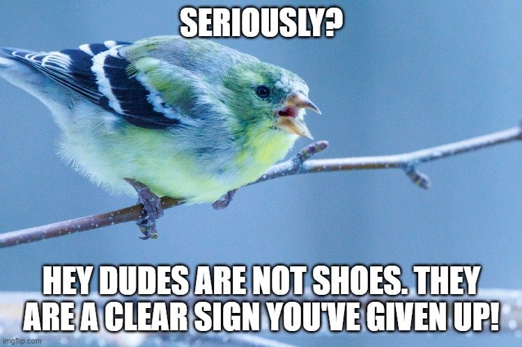 6ebchq.jpg