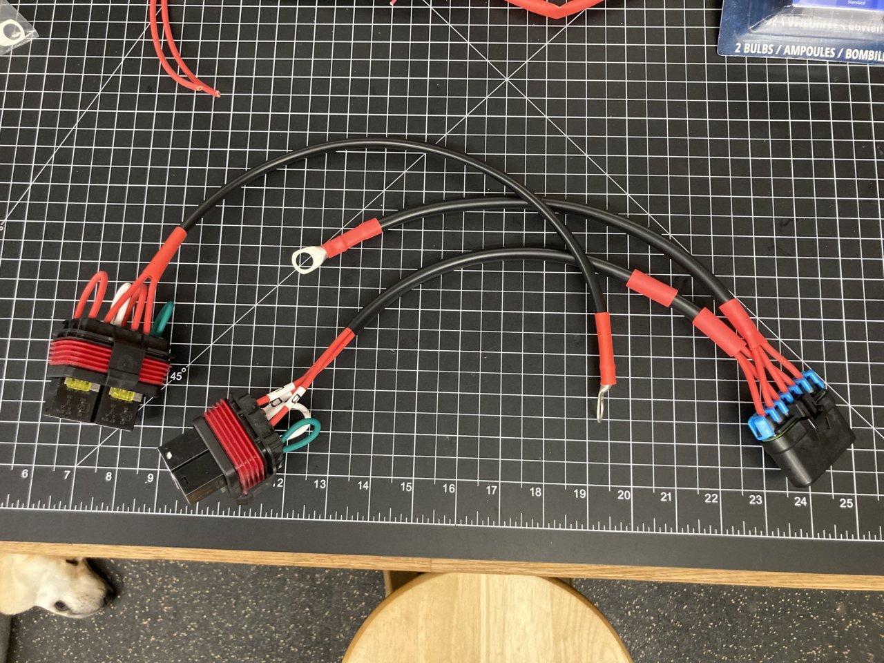 6EF9CB65-9F9F-466F-B294-2B2582717173.jpg