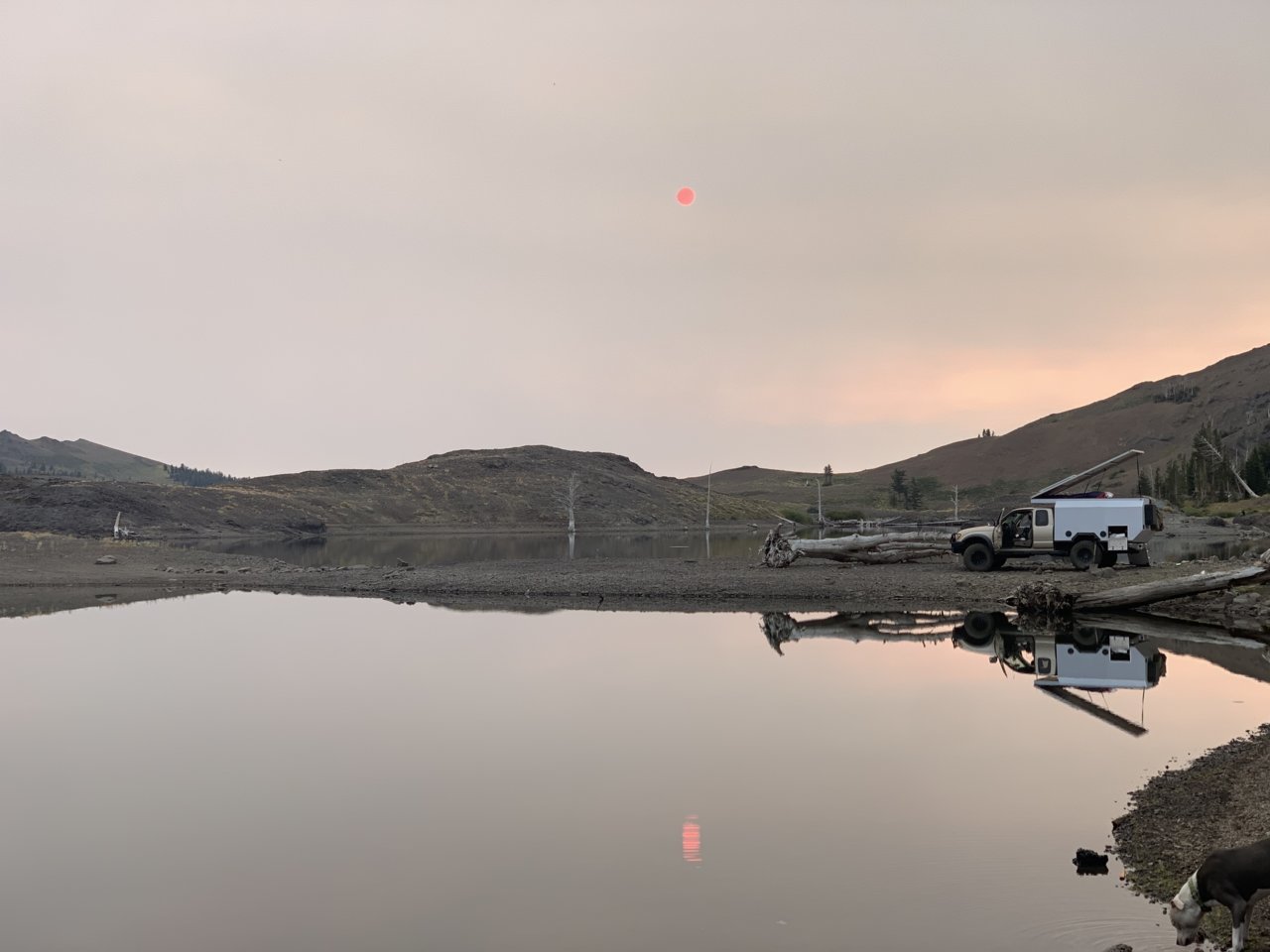 6F395D95-A850-4A2F-A443-12FDBB121CB2.jpg