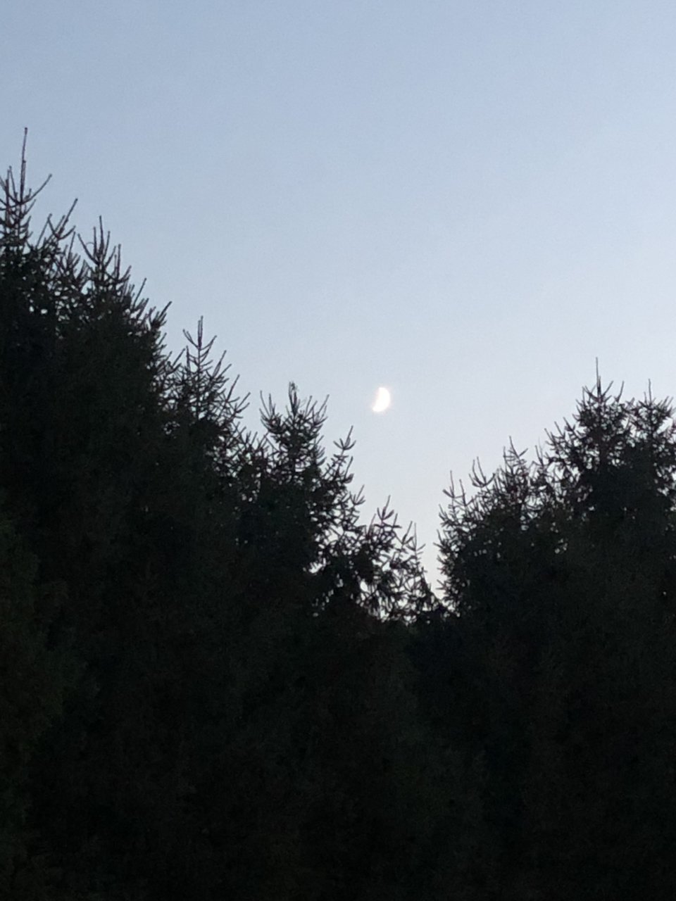 6F46673C-3D76-4D84-AFE1-254CA1E6AD31.jpg