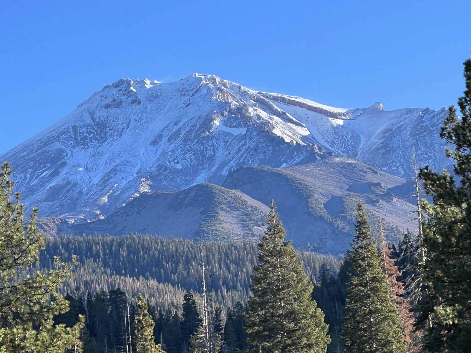 6F687579-606B-461D-8B82-2EDB8E07D353.jpg