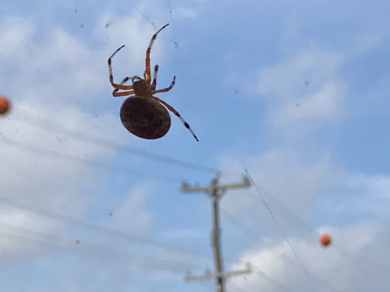 6F6B51F5-6F4A-47B5-B0E3-FD417CC6F9CF.jpg