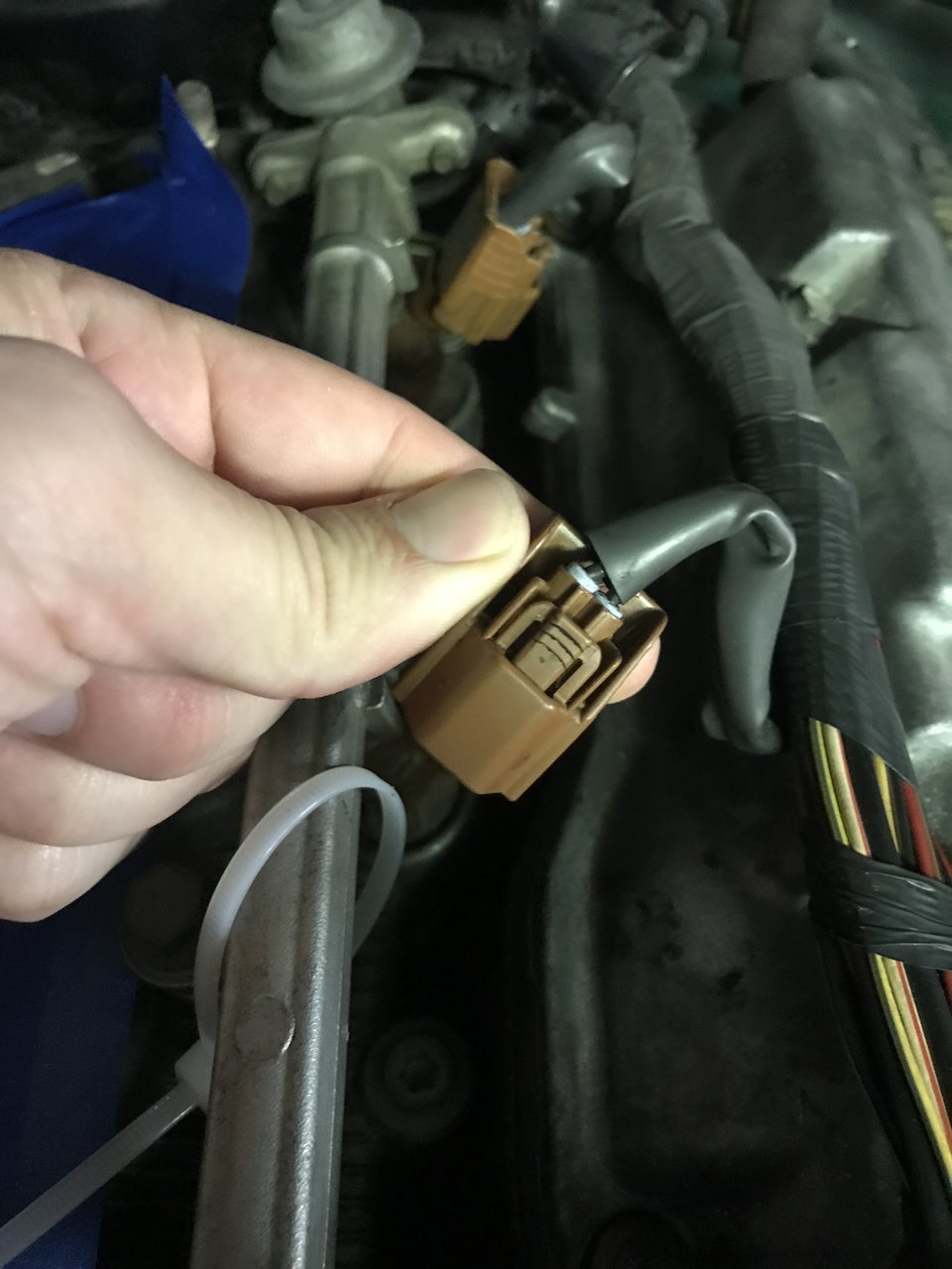 6FD1FDDC-E322-4BA0-9EA2-DC7BC4A00088.jpg