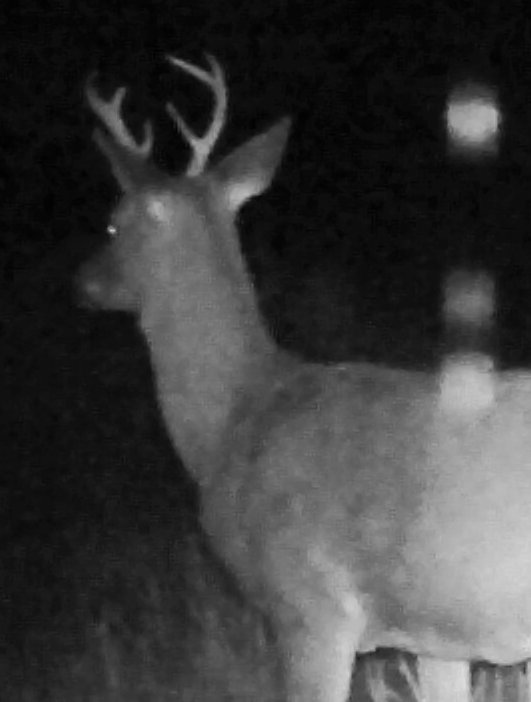 6pt.jpg