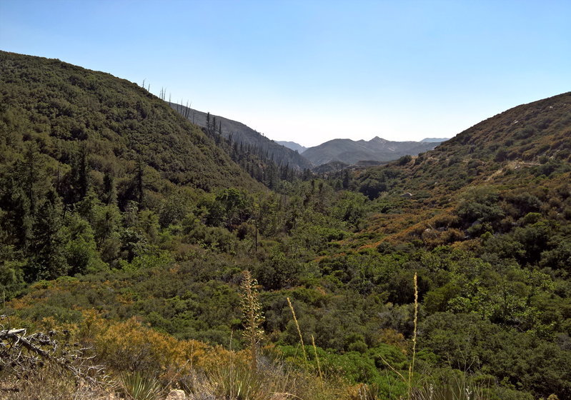 6tag_190716-113553.jpg