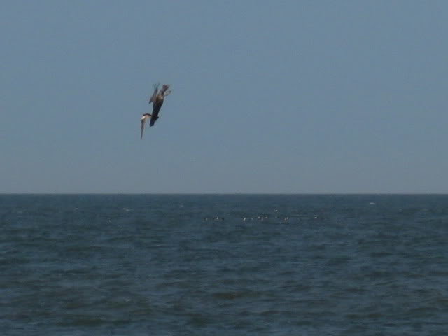 7-18-10010_c86533fdd79c967951e17d4b4f07d8532a13d6b5.jpg
