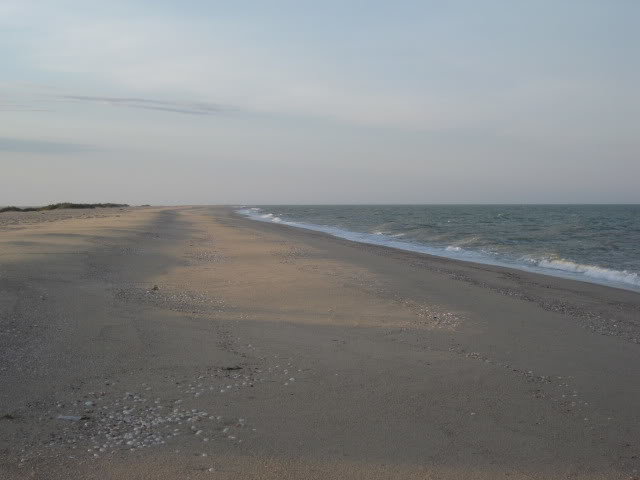 7-18-10014_5b8cf586cc27564e350c626ece9d2d2697e41912.jpg