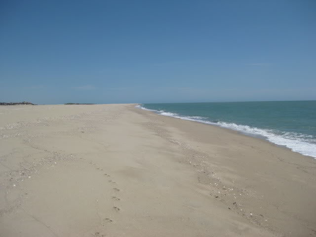 7-18-10022_24b7ae2657fd4b790c36299c110ae5fc01e9437a.jpg