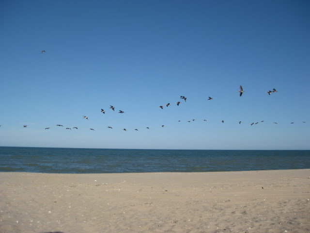 7-18-10035_94ded534a266c9846bd480e3259de4228c99145f.jpg