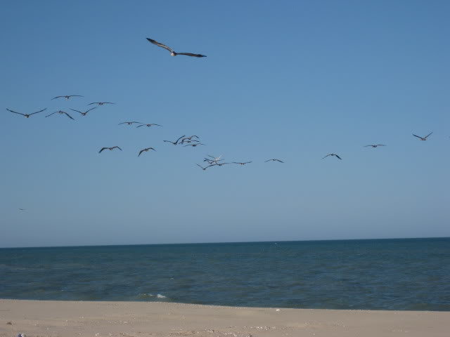 7-18-10036_c562059966cdf40afddc8bb64476935ada7ec999.jpg