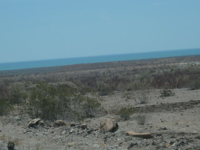 7-18-10050_83ecabba87bf9f8eec7f57d2d5cb1f8310e3e35d.jpg