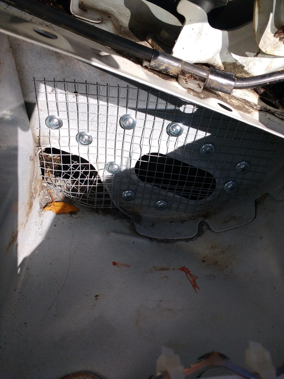 7. Wire cloth on side cowl drain.jpg