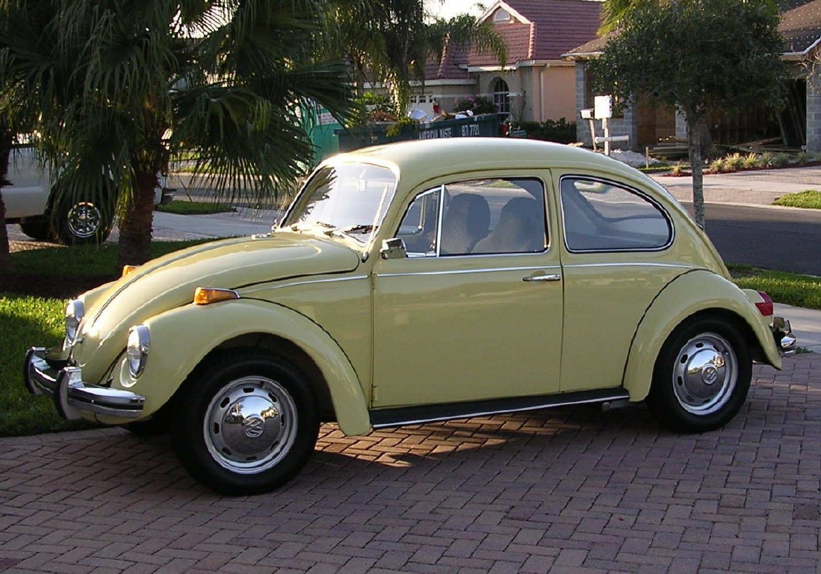70 beetle.jpg