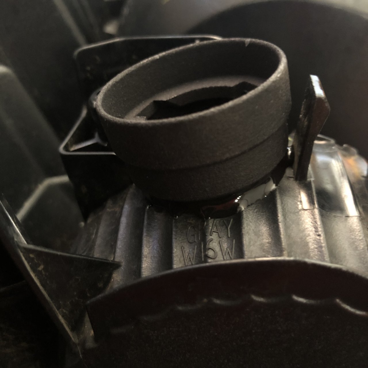 700F605F-AC80-4EC9-B7EA-78B41986E7F0.jpg