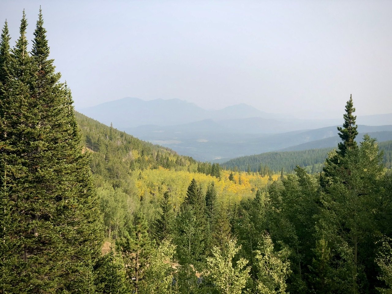 704CF7D1-A687-4713-B2E3-F9B770E4DC31.jpg