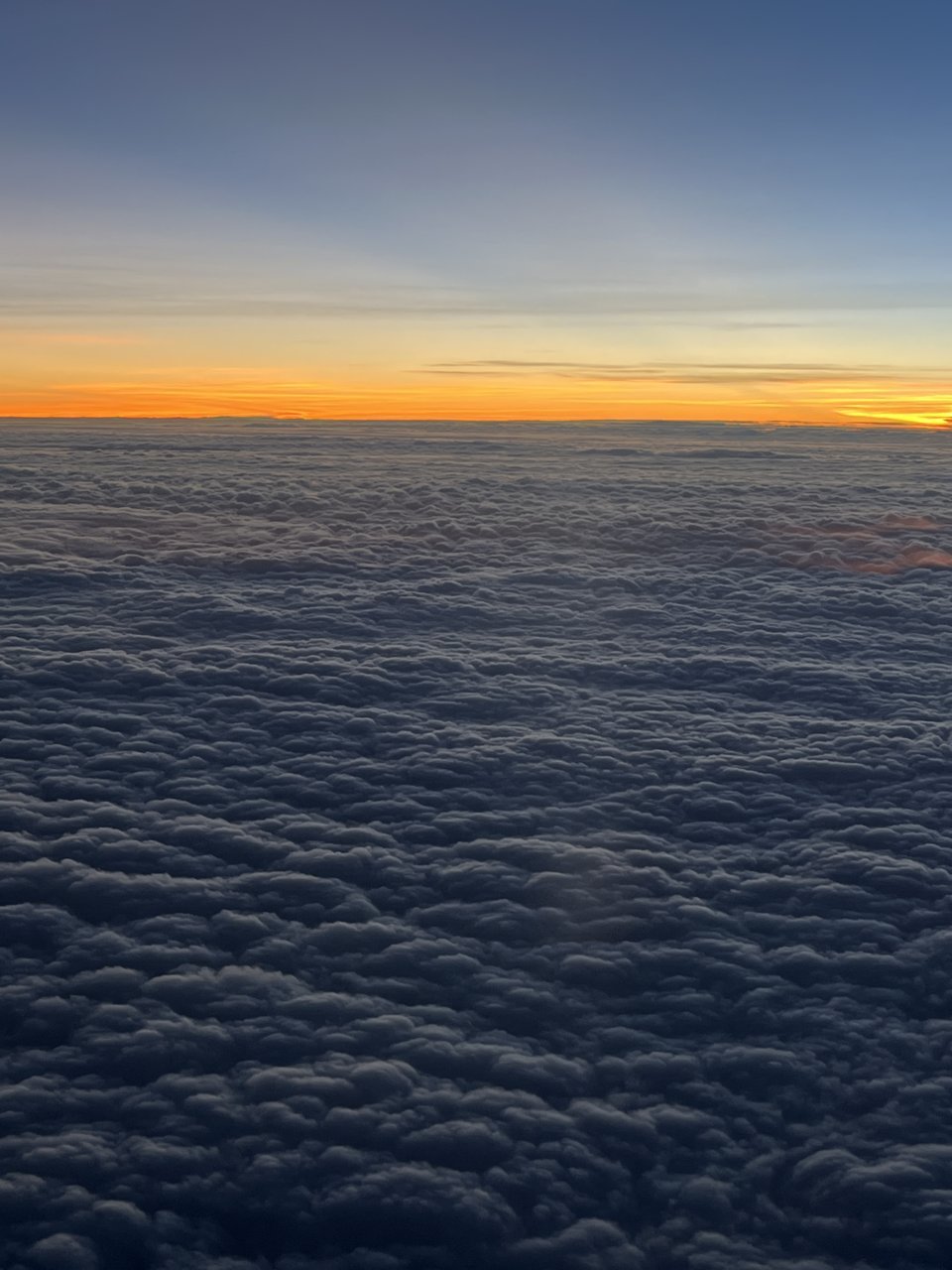 705777B7-BF56-4A10-9577-7B4F5586A44D.jpg