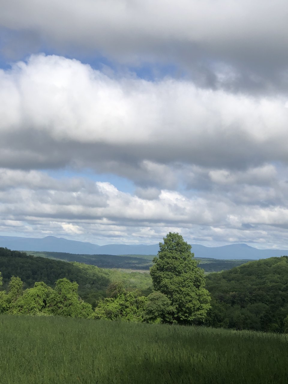 70671237564__6F7D5BD2-1D85-477E-A396-415E467CD9D7.jpg