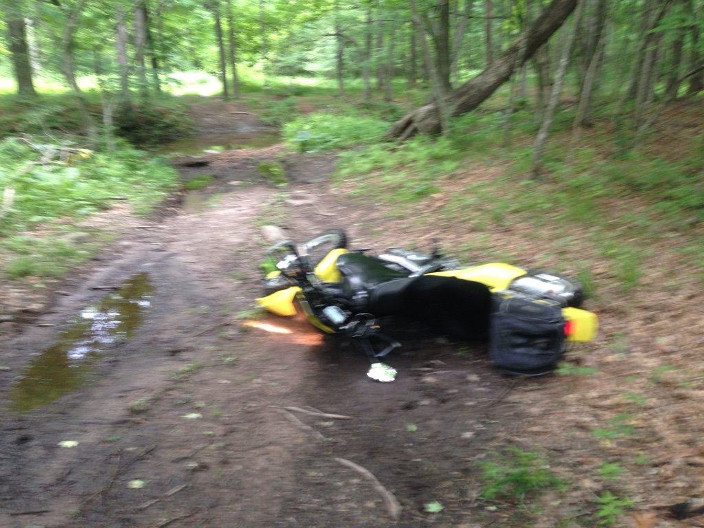 710e6f9f515fc42b7618a0593d68c168_3df201eb2c27b19fc724279eb71f4cf9aac29db3.jpg