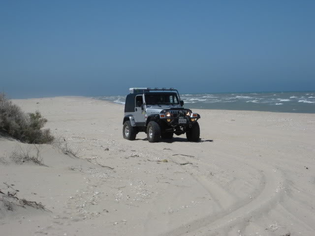 710Shell006_f0807f1e8816bb52a23a6f489153fc8ab959c40f.jpg