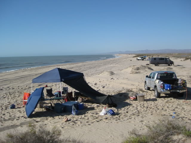 710Shell015_2d2119bdf679d5a6cdee247bd0b5608224a84e40.jpg