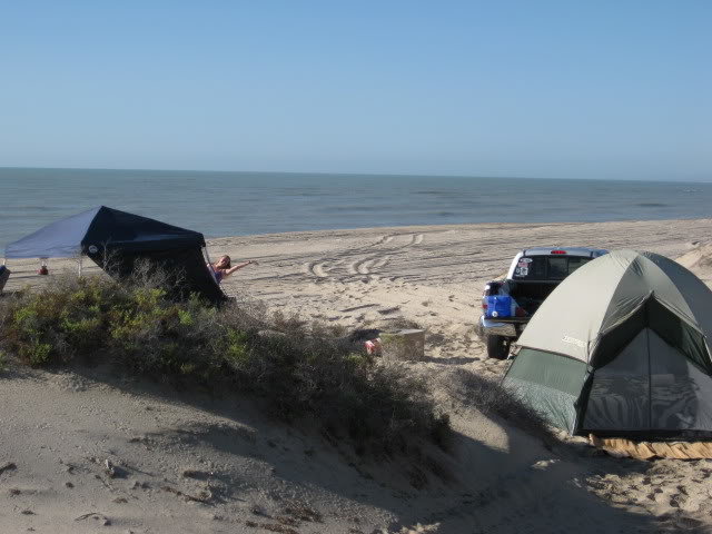 710Shell017_feb34e7bbf6596f67899ccf50c610e6a25c69771.jpg