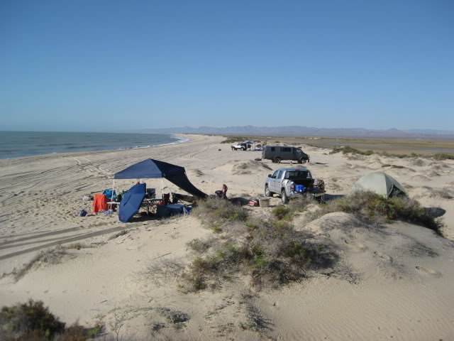 710Shell019_869ec08b0803d984467b99c537cf249c6d0fb57c.jpg