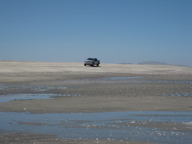 710Shell030_737c72bcf7f4a381b89a446b069acdbadd93c0a4.jpg