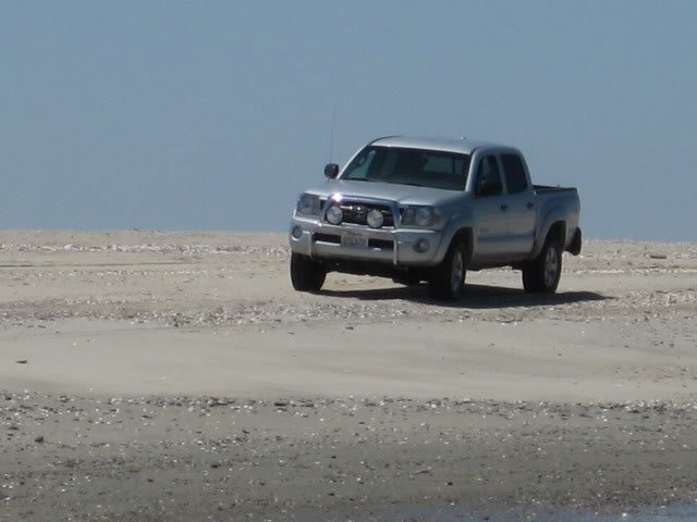 710Shell031_140d376bc5c6f56b165d566eea298b0da5fe6fe2.jpg