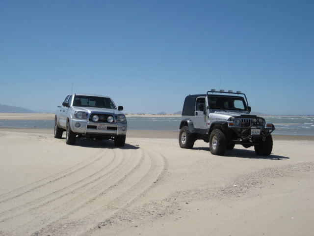 710Shell035_075d2ab98703575611dae1126bf9996058d9782f.jpg