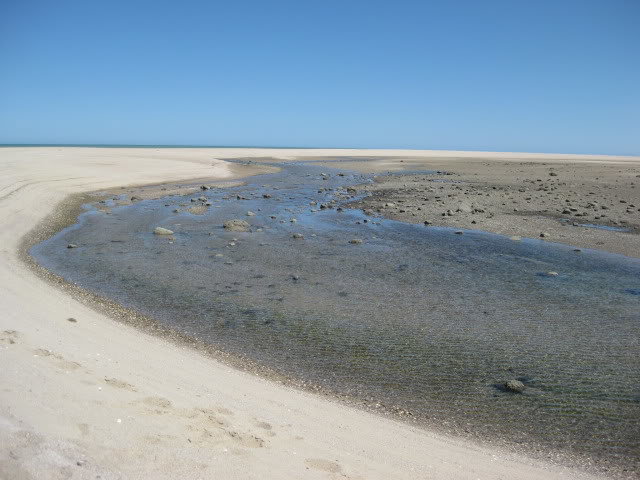 710Shell039_a83ac223a9b0e8c4d9ec5fbeb792a6bb16789794.jpg