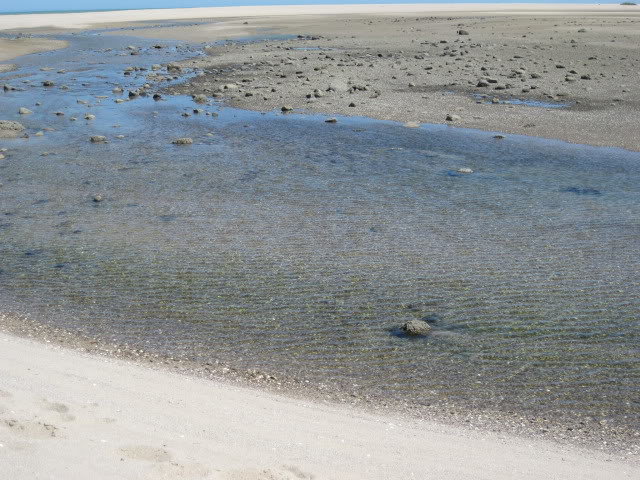 710Shell040_040b411fcb84a7042b1691fdab59464ee7757d37.jpg