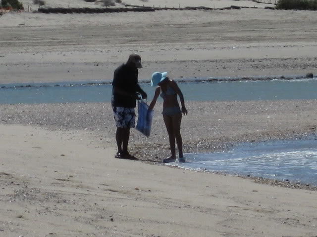 710Shell044_b056420b29e484c50a6137cd95b5c30b028c022c.jpg